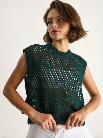 Pull-over Bianco Lucci en vert : devant