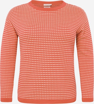 Tom Tailor Women + Sweater in Red: front