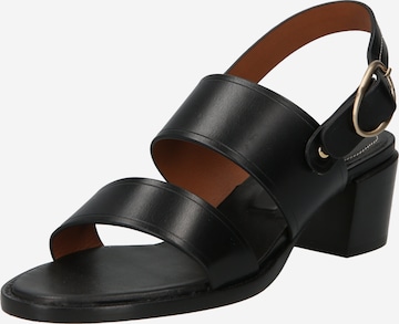 Vanessa Bruno - Sandalias en negro: frente