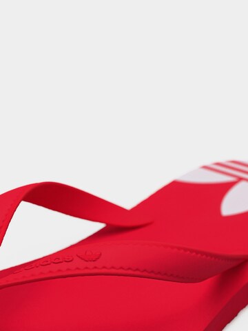 Tongs 'Adi Sun' ADIDAS ORIGINALS en rouge