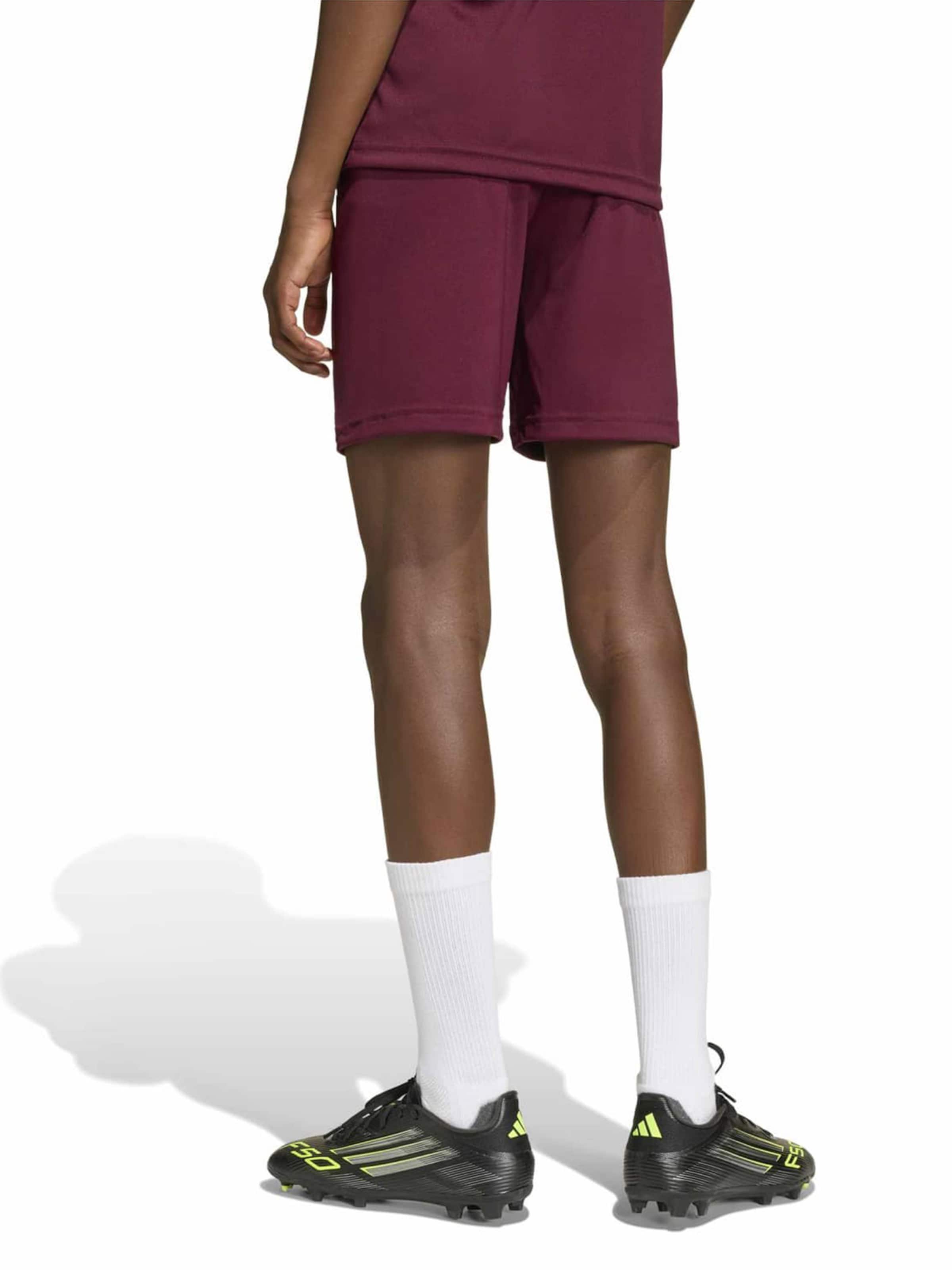 ADIDAS PERFORMANCE - regular Pantalón deportivo 'ENT26' en rojo