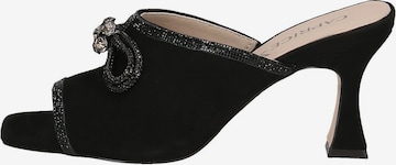 Mule CAPRICE en noir