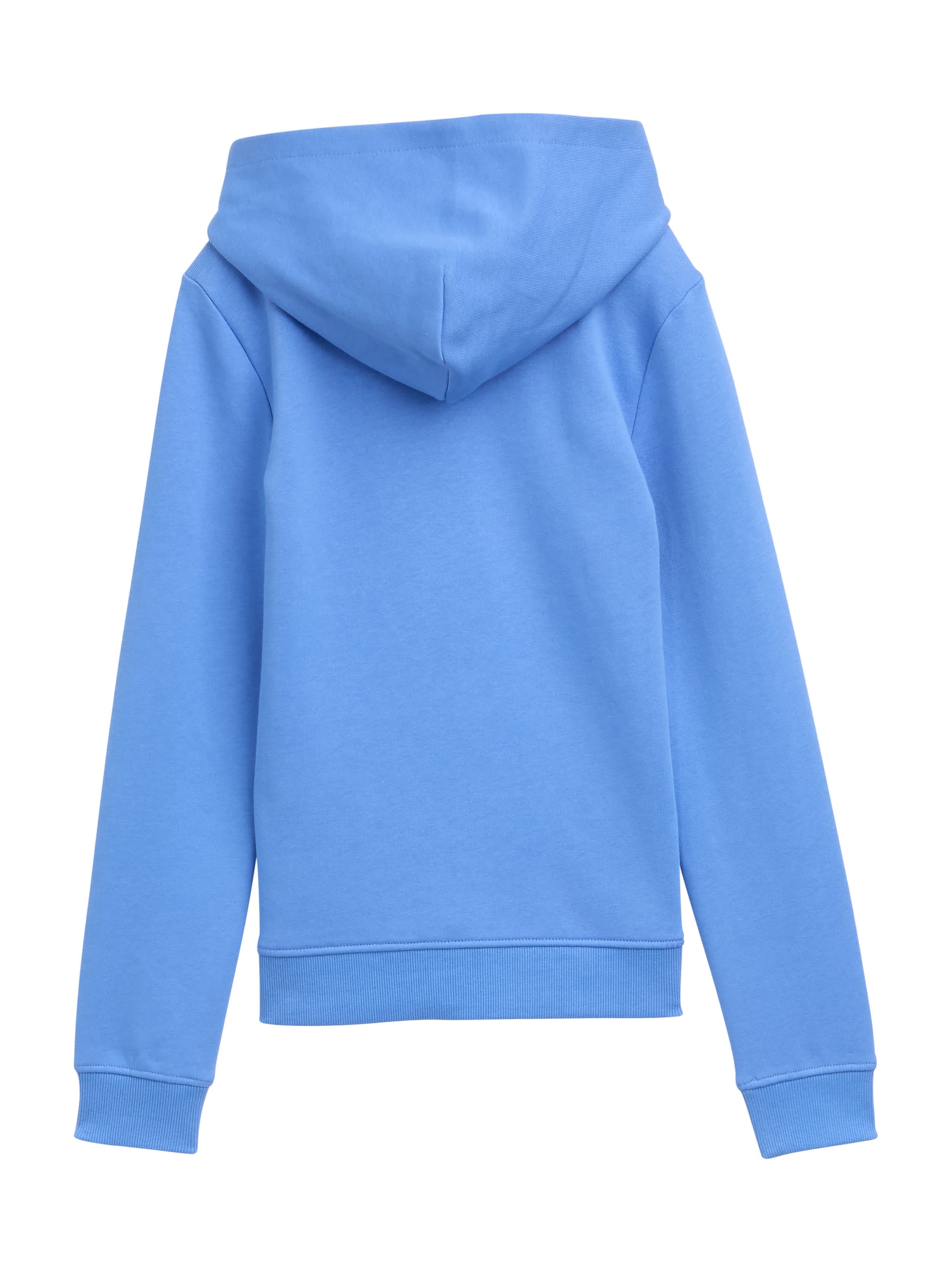 TOM TAILOR Свитшот в Синий