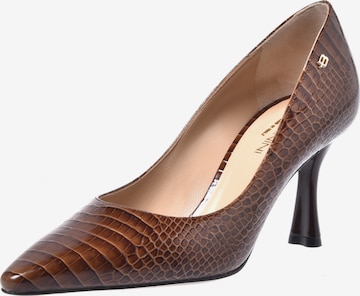 BALDININI Pumps in Bruin: voorkant