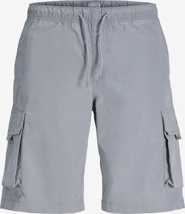 JACK & JONES - Pantalón cargo en gris: frente