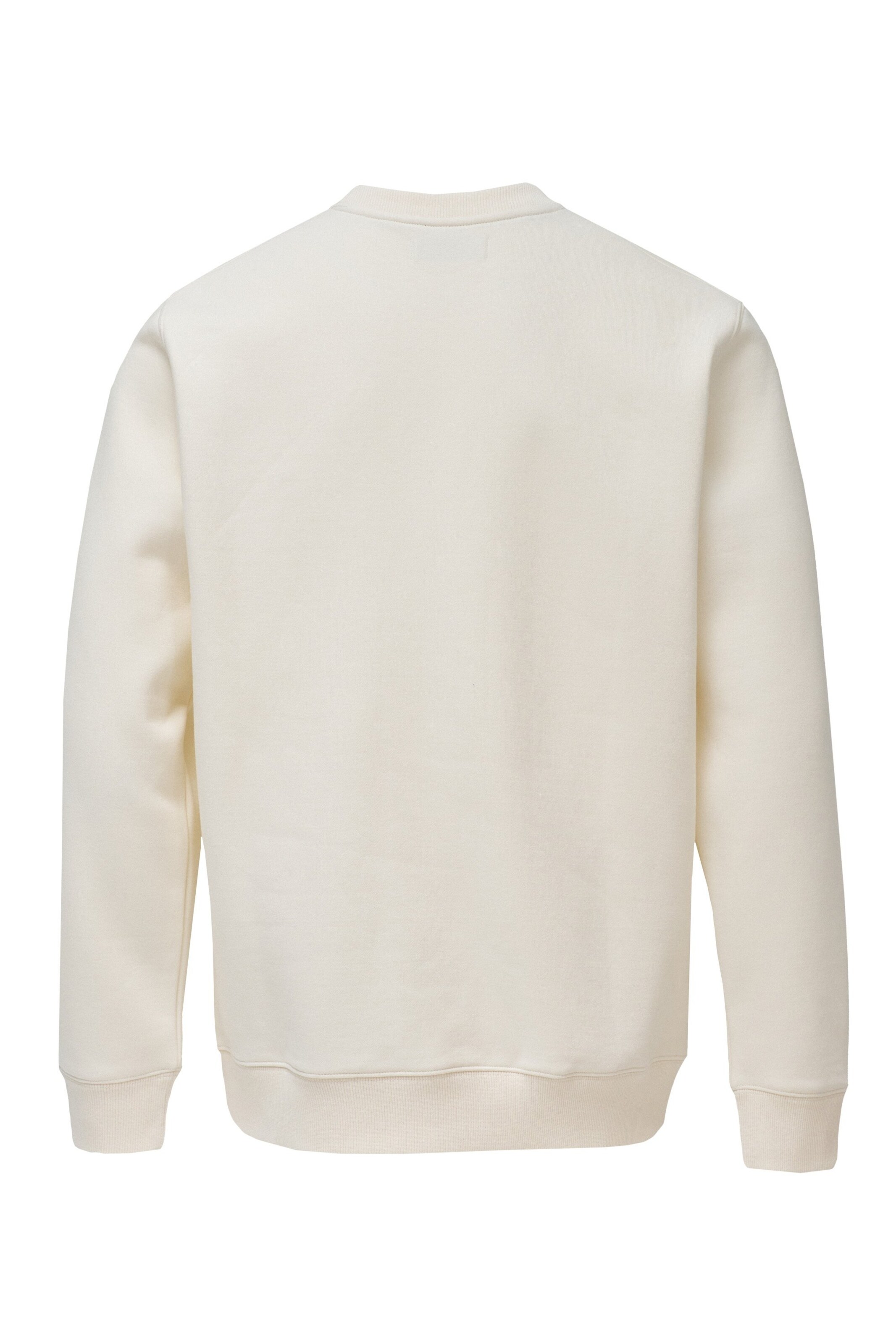 Salsa Jeans Pullover in Beige