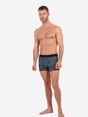 HOM Boxer shorts ' Fountainebleau Boxer Briefs ' in Blue