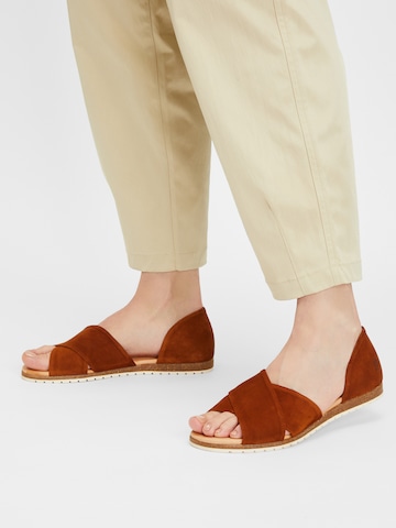 Apple of Eden Sandals in Brown: front