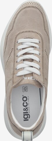 IGI&CO Sneakers laag in Beige