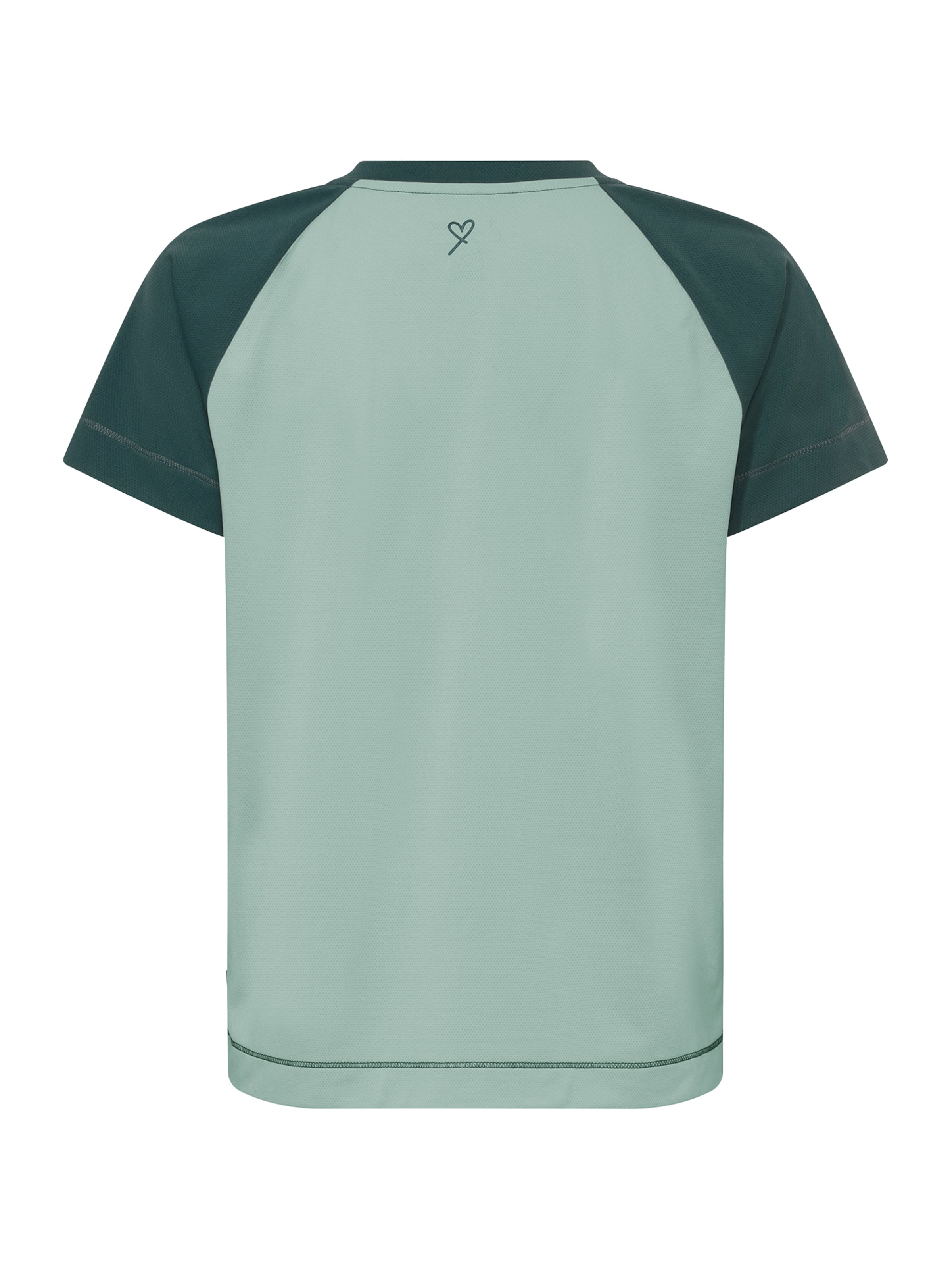 VAUDE Funktionsshirt 'Neyland II' in Grün