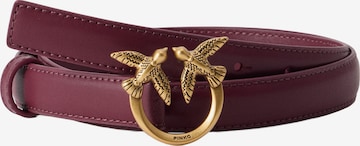 PINKO Bälte 'LOVE BERRY' i lila: framsida