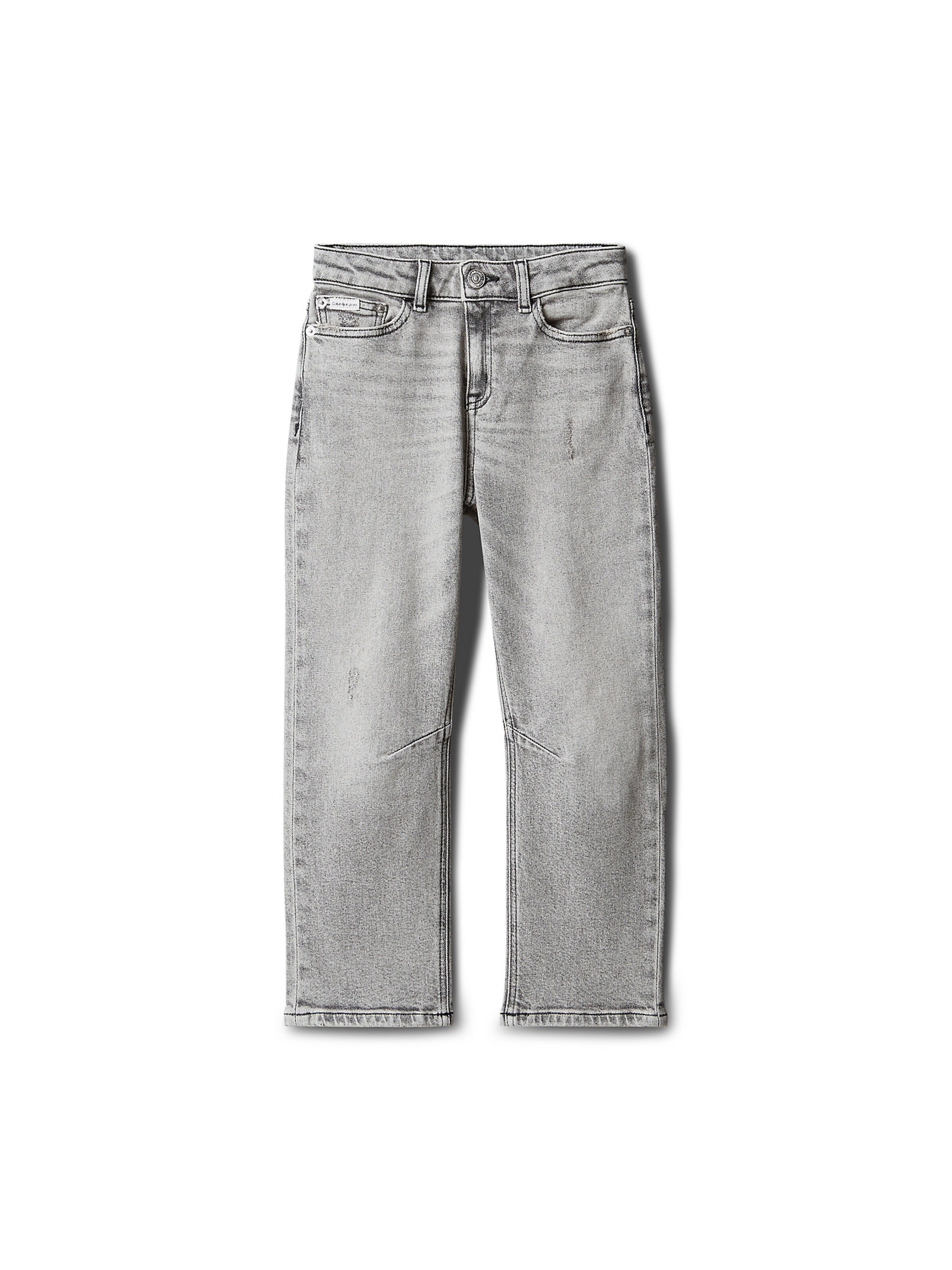 Calvin Klein Jeans Regular Jeans in Grey: front