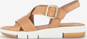 GABOR Sandals in Brown