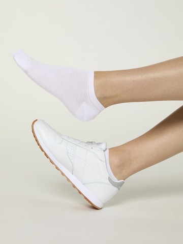 Chaussure basse ' Unisex Colour Sneaker farbige Füßlinge kurz ' Nur Die en blanc
