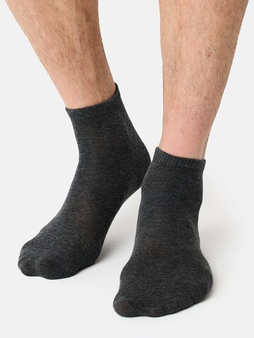 Nur Der Socks 'Classic' in Grey: front