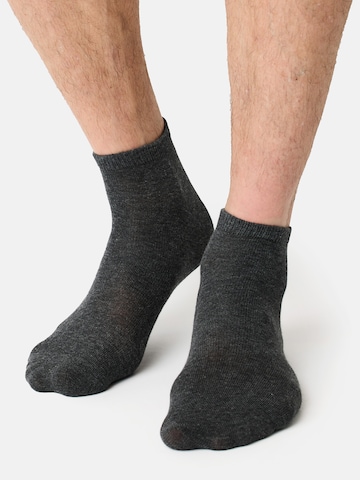 Nur Der Socken 'Classic' in Grau: predná strana