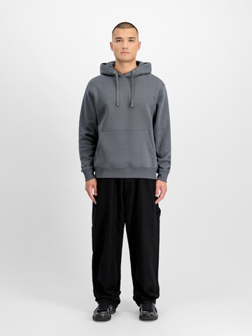 ALPHA INDUSTRIES Bluzka sportowa 'DTM' w kolorze szary