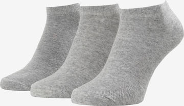 Albert Schäfer Ankle Socks in Grey: front