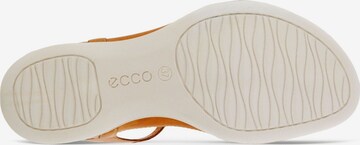 ECCO Sandalen met riem 'Flash' in Bruin