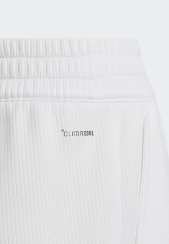 regular Pantaloni sportivi 'Classics' di ADIDAS PERFORMANCE in bianco