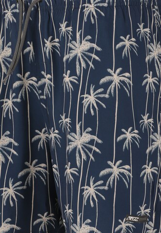 Cruz Board Shorts 'Rohan' in Blue