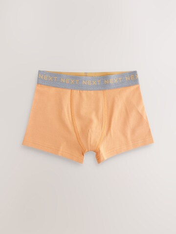 Sous-vêtements Next en bleu