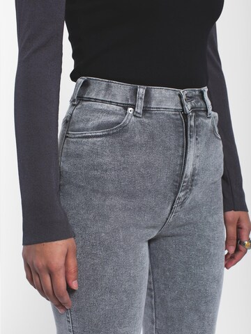 Dr. Denim Slim fit Jeans 'Moxy High Straight' in Grey