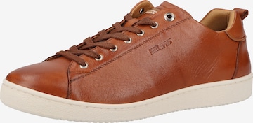 SALAMANDER Sneakers in Brown: front