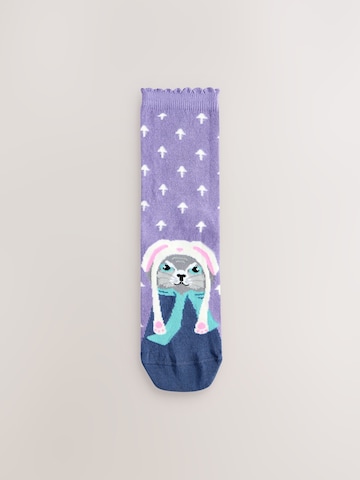Next Socken in Beige