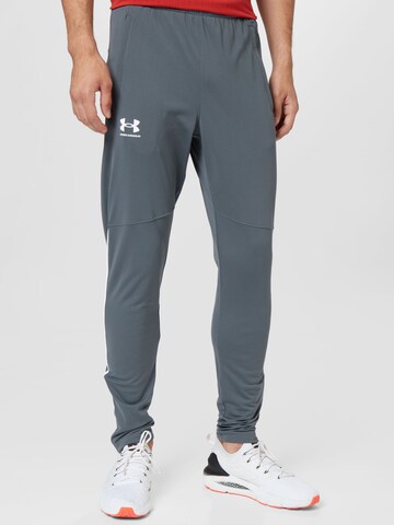 UNDER ARMOUR Skinny Športne hlače | siva barva: sprednja stran