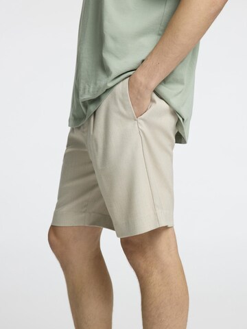 regular Pantaloni con pieghe 'SLHLeroy' di SELECTED HOMME in beige