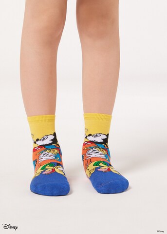CALZEDONIA Socken in Mischfarben: predná strana