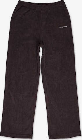 Pantalon 'NOLI ' Pegador en marron : devant