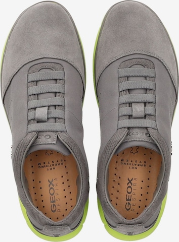 GEOX Sneaker in Grau