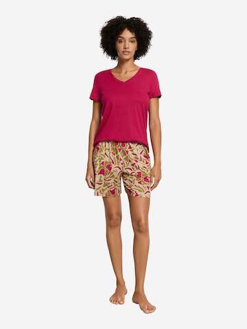 Hanro Pajama Pants 'Sleep & Lounge' in Beige