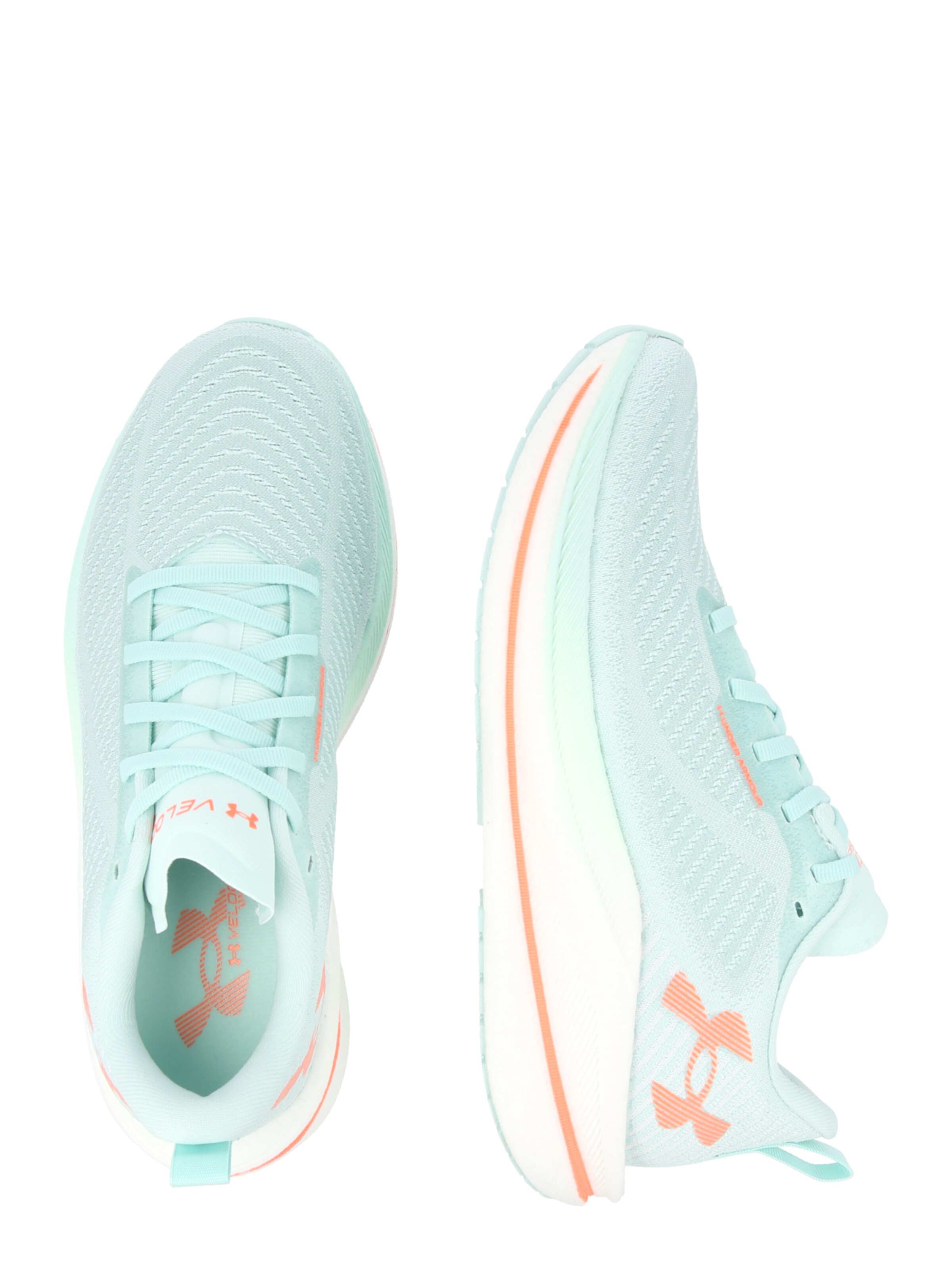 UNDER ARMOUR Обувь для бега 'Velociti SPD' в Зеленый