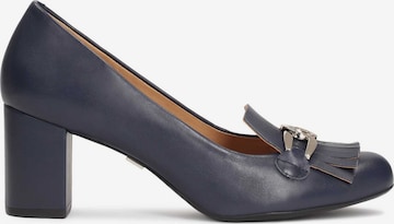 Kazar Pumps in Grey