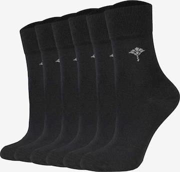 Chaussettes JOOP! en noir : devant