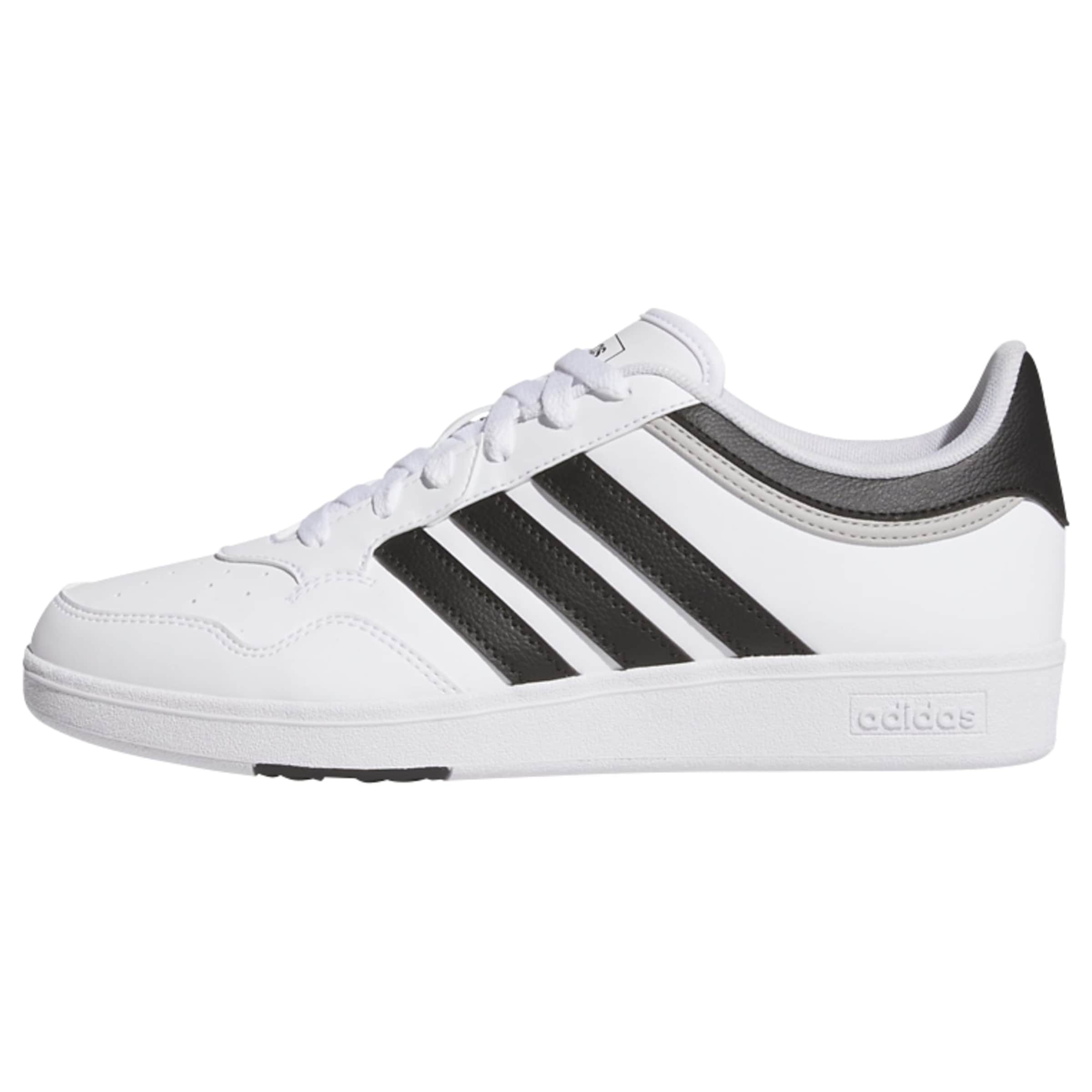 Baskets basses 'Hoops 4.0' ADIDAS SPORTSWEAR en blanc : devant