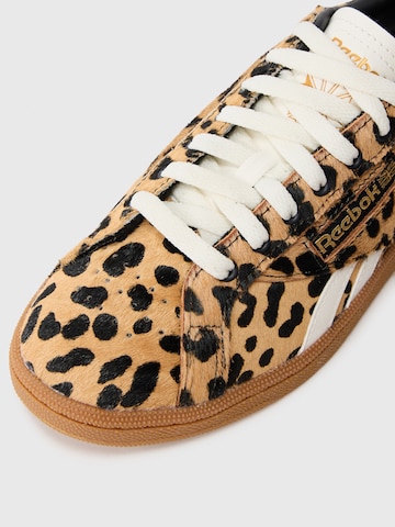 bēšs Reebok Zemie brīvā laika apavi 'CLUB C GROUNDS UK'