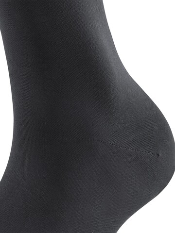 FALKE Over the Knee Socks 'Vitalizer' in Grey
