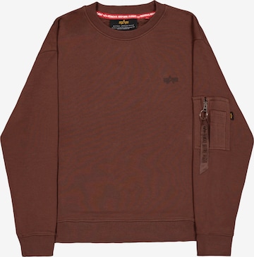 Felpa 'Dtm' di ALPHA INDUSTRIES in marrone: frontale