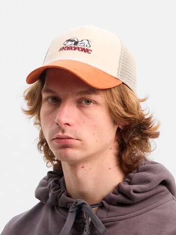 hydroponic - Gorra deportiva 'Hydroponic x Peanuts Obsessed Cap' en beige