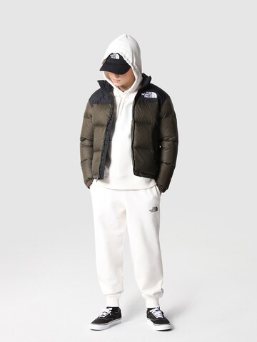 THE NORTH FACE Jacke in Grau