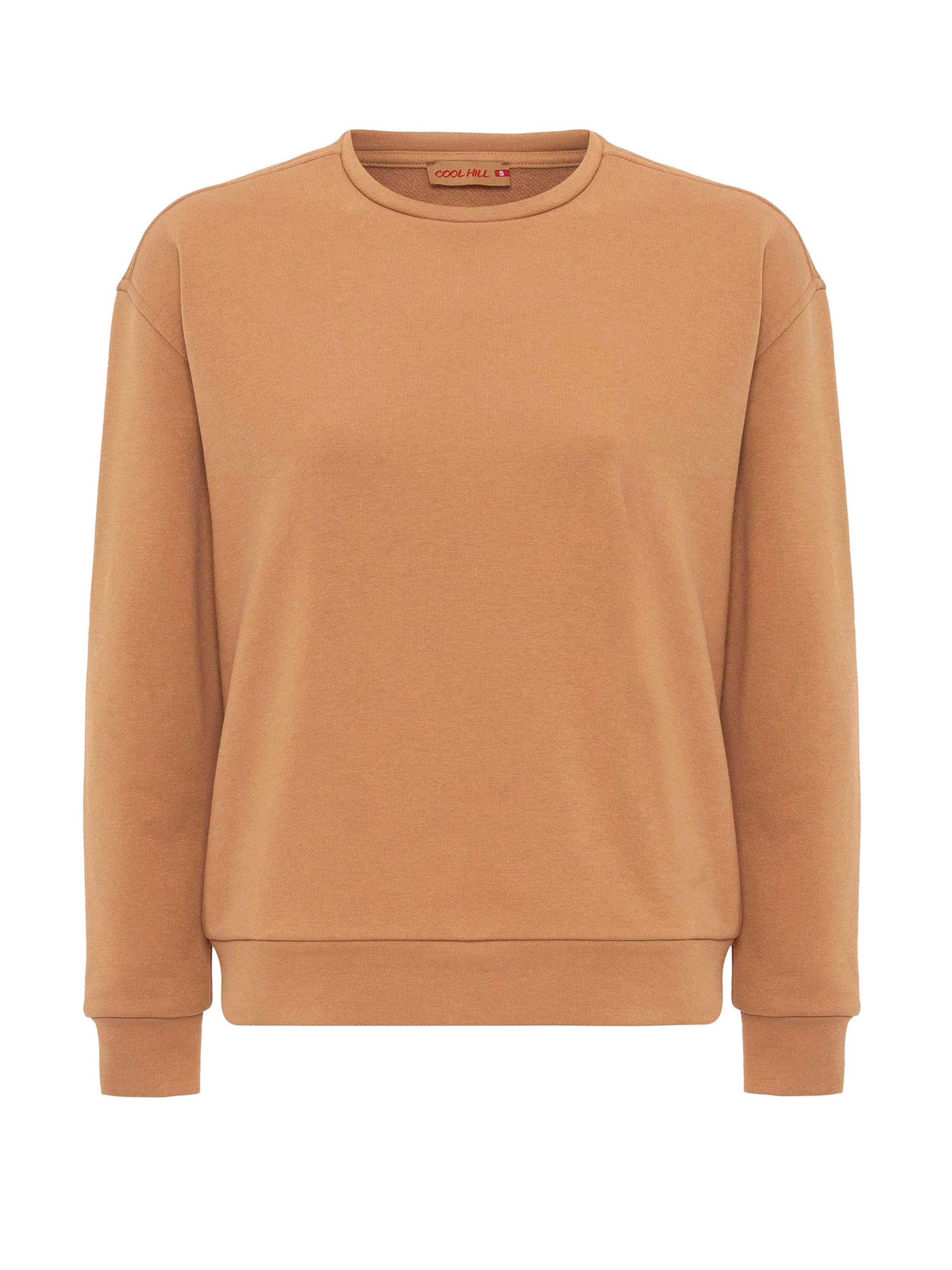 Cool Hill Μπλούζα φούτερ σε καφέ: μπροστά