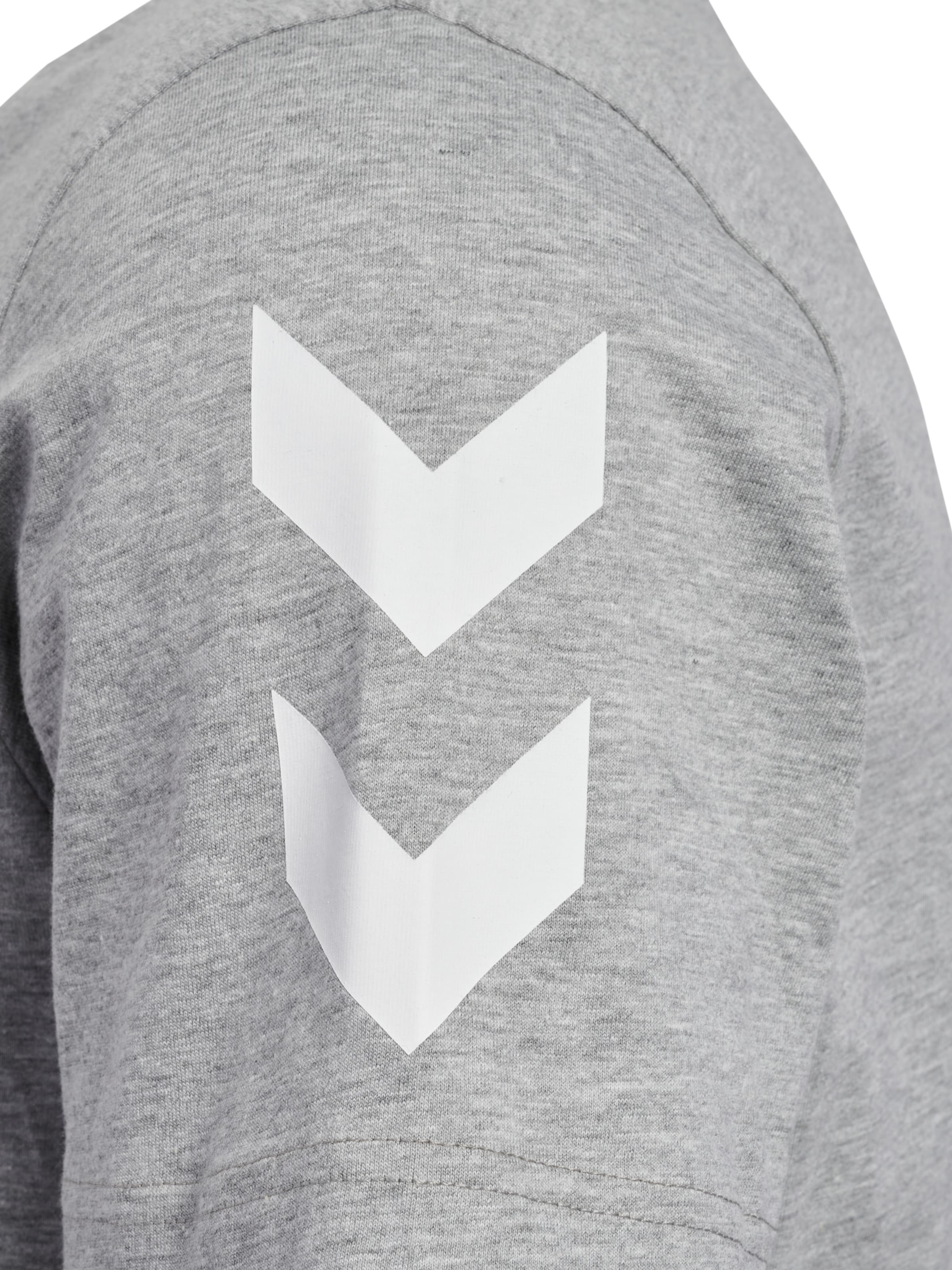 Hummel Bluser & t-shirts 'LEGACY 2.0' i grå