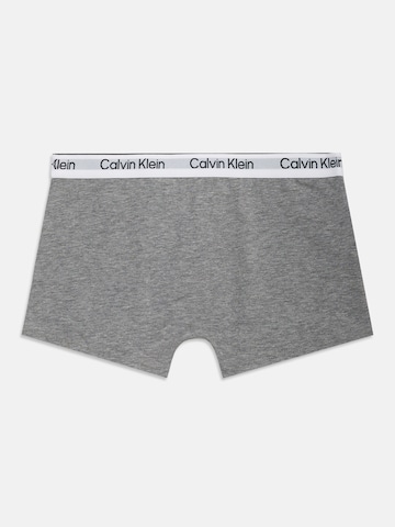Calvin Klein Underwear Kalsong i grå