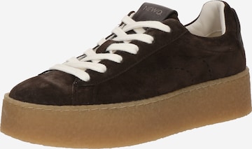 Baskets basses NEWD en marron : devant