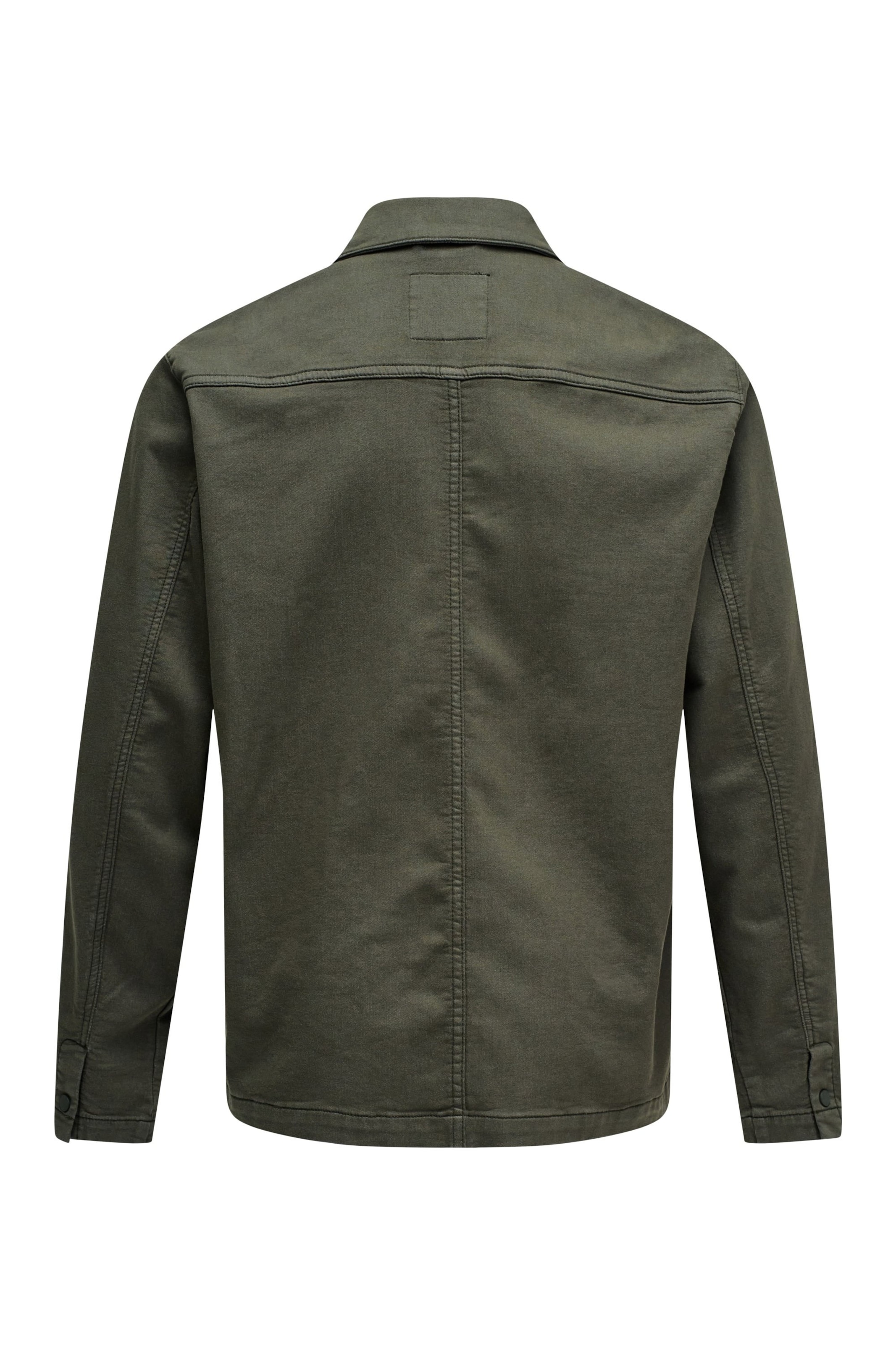 Salsa Jeans Regular fit Traditional button up shirt in Green