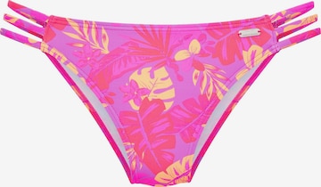 Slip bikini di VENICE BEACH in lilla: frontale